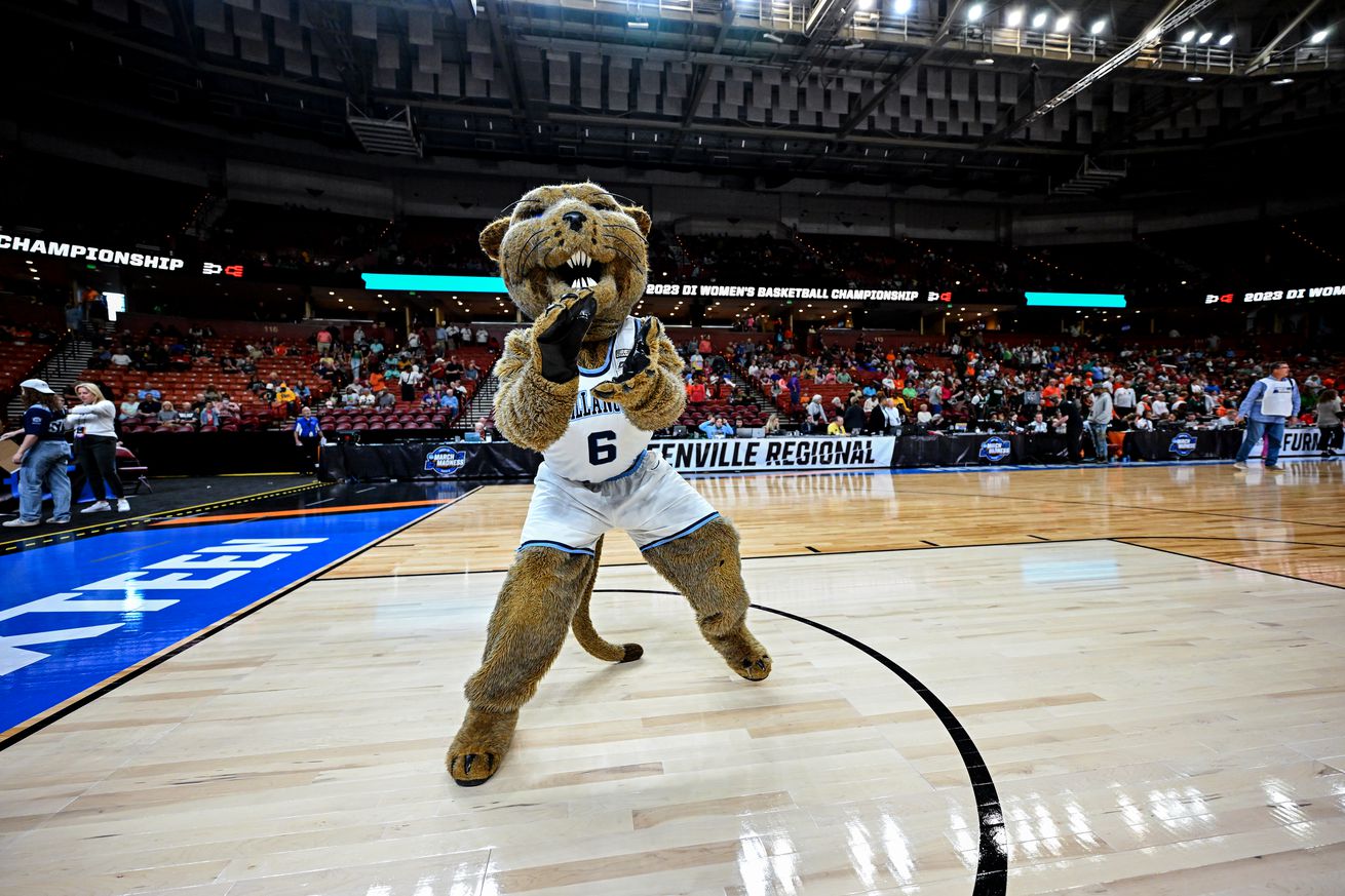 The mascot for the Villanova Wildcats during the Sweet Sixteen round of the 2023 NCAA Womens Basketball Tournament held at Bon Secours Wellness Arena on March 24, 2023 in Greenville, South Carolina.