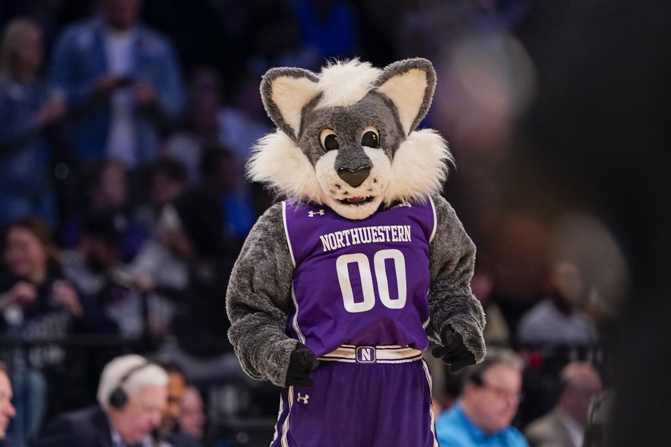 The Northwestern Wildcats mascot during a second round NCAA Tournament game against the Connecticut Huskies at Barclays Center on March 24, 2024 in the Brooklyn borough of New York City.