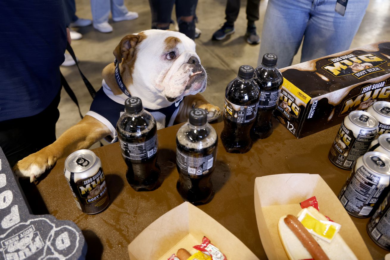 Blue IV, Butler’s mascot, attends as MUG Root Beer shows up for The Real Dogs Of All-Star Weekend: The Butler University Dawg Pound at Butler University on February 17, 2024 in Indianapolis, Indiana.