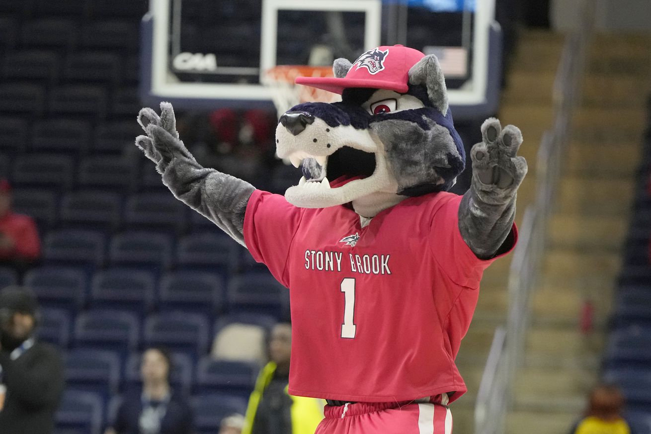 The Stony Brook Seawolves mascot on the floor during the second round against the Northeastern Huskies of the CAA Men’s Basketball Tournament at the Entertainment & Sports Arena on March 9, 2024 in Washington, DC.