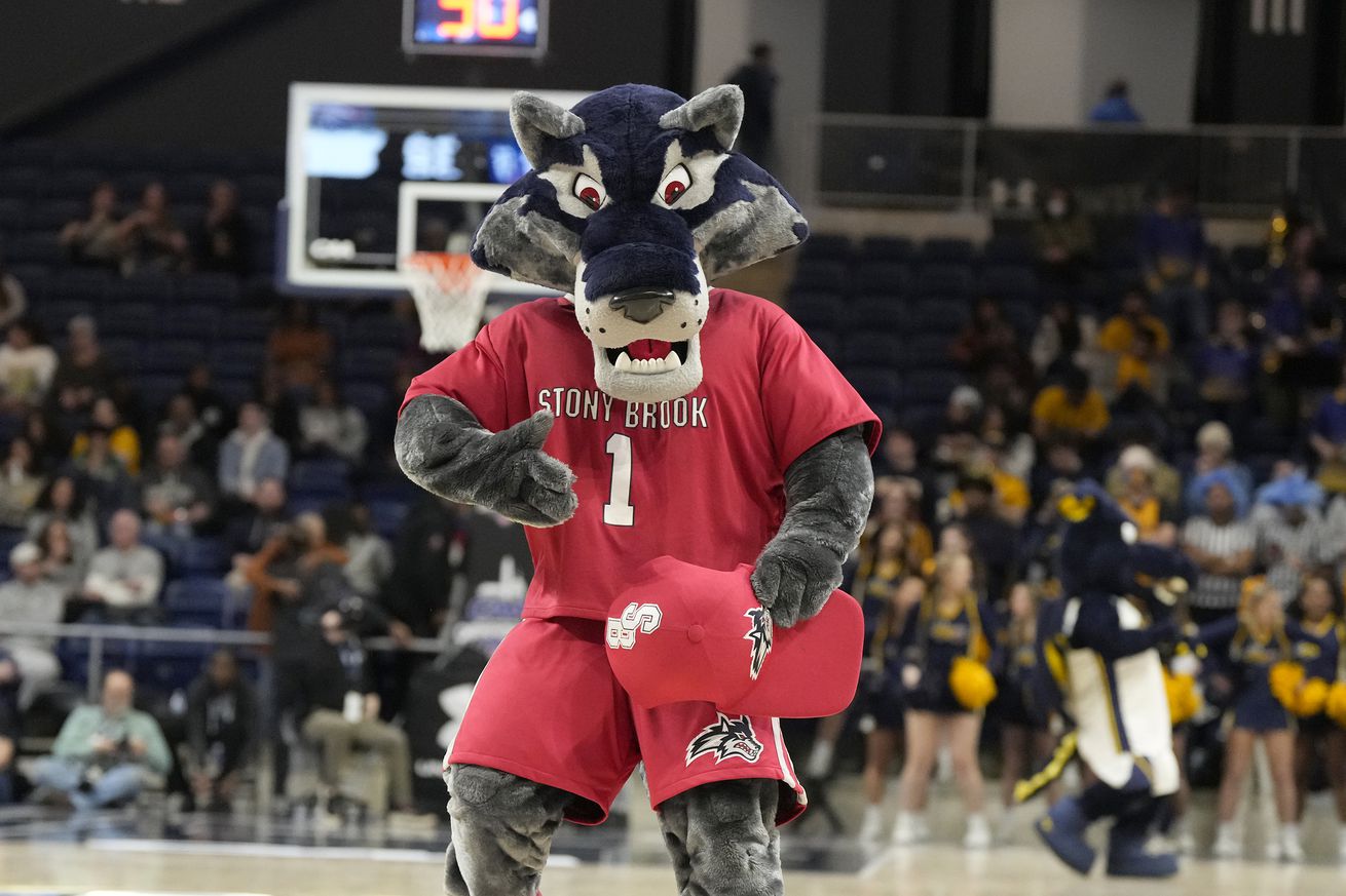 The Stony Brook Seawolves mascot performs on the floor during the quarterfinal round of the CAA Mens Basketball Tournament against the Drexel Dragons at the Entertainment & Sports Arena on March 10, 2024 in Washington, DC.