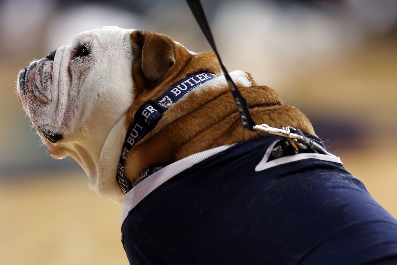 The Butler Bulldogs mascot, Butler Blue IV, looks on from the court during the first half against the Xavier Musketeers during the First Round of the Big East Basketball Tournament at Madison Square Garden on March 13, 2024 in New York City.