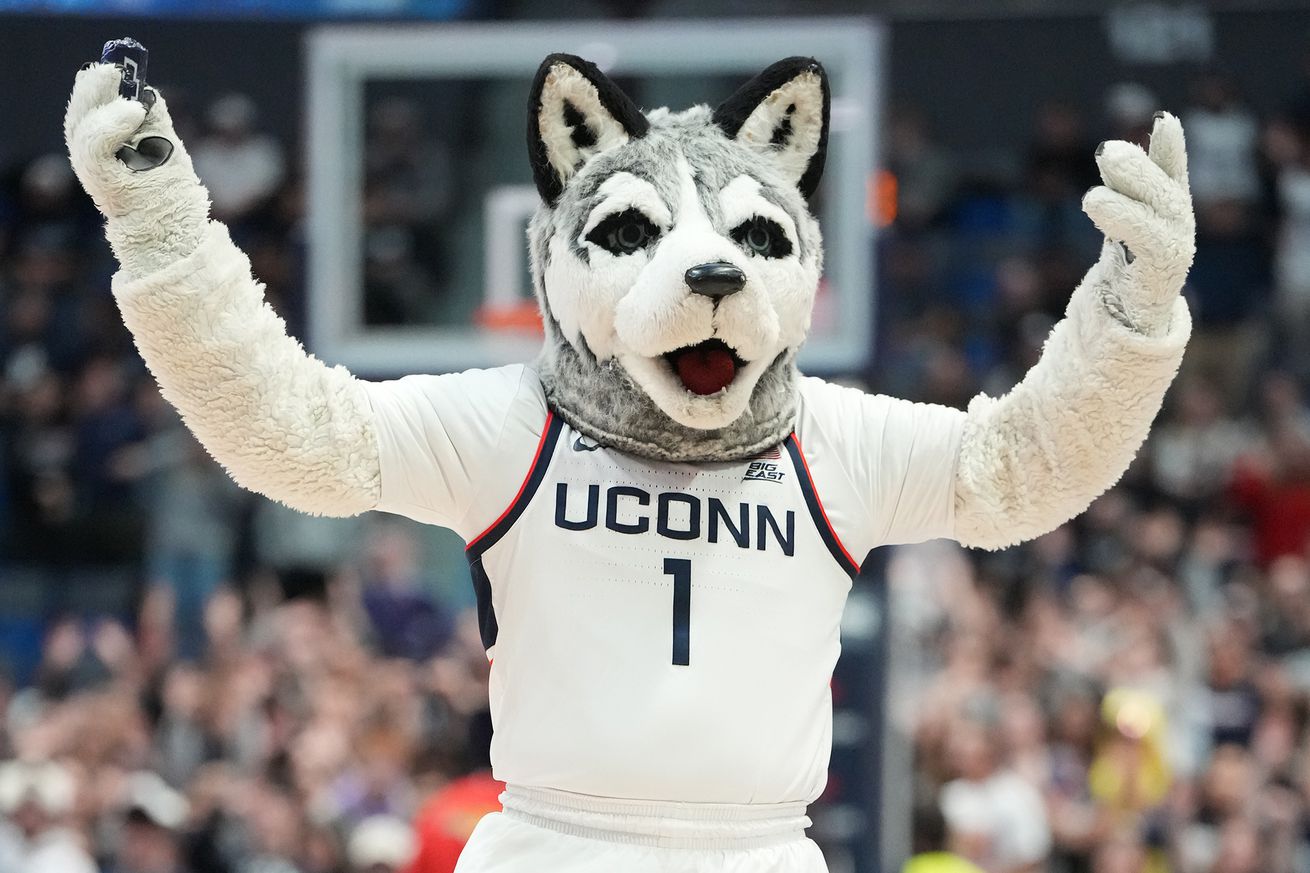 The Connecticut Huskies mascot on the floor during a college basketball game against the Le Moyne Dolphins at XL Center on November 13, 2024 in Hartford, Connecticut.