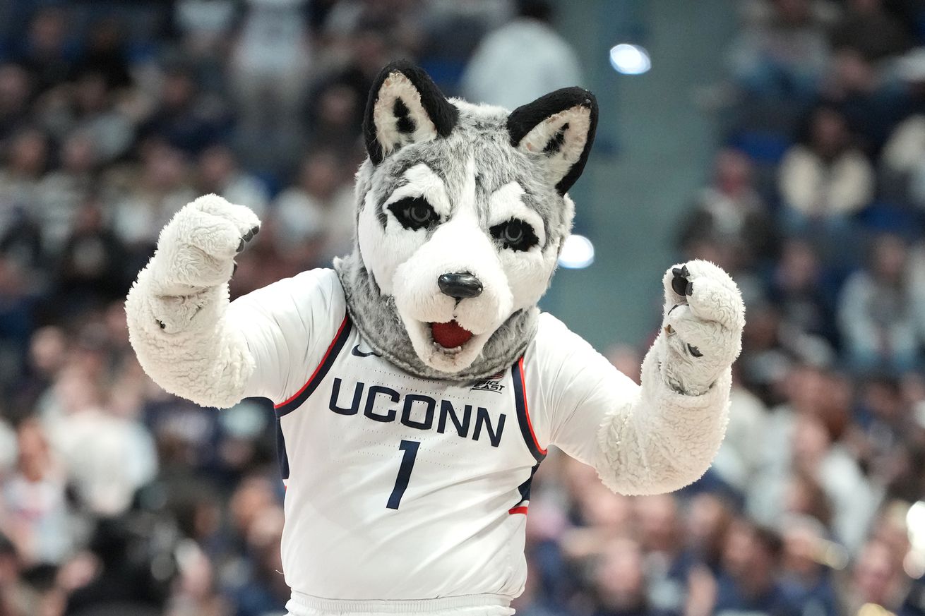 The Connecticut Huskies mascot on the floor during a college basketball game against the Le Moyne Dolphins at XL Center on November 13, 2024 in Hartford, Connecticut.