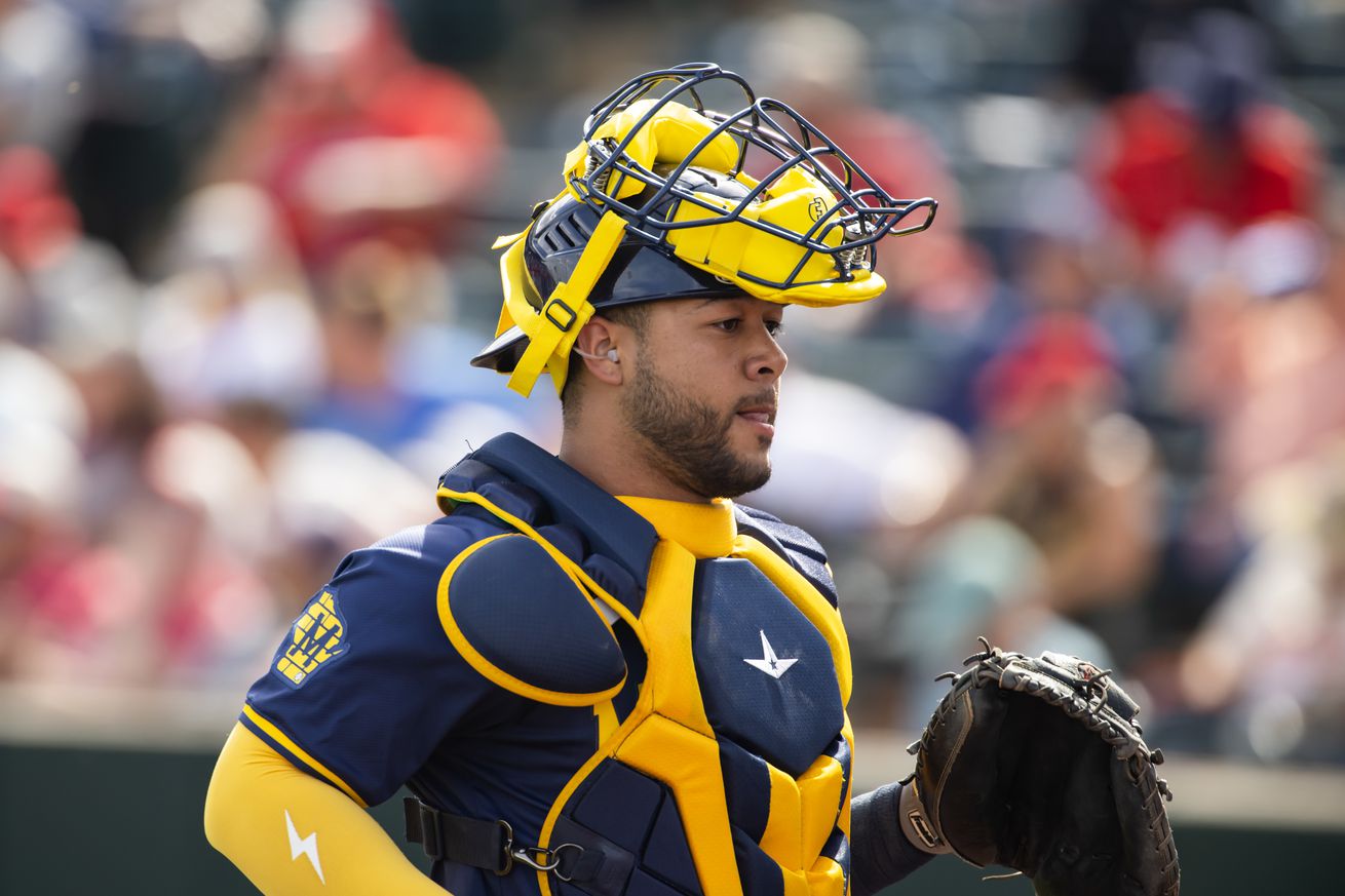 MLB: Spring Training-Milwaukee Brewers at Los Angeles Angels