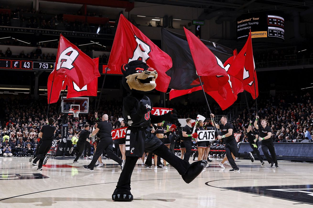 Cincinnati Bearcats mascot is seen during a college basketball game against the Houston Cougars on February 10, 2024 at Fifth Third Arena in Cincinnati, Ohio.