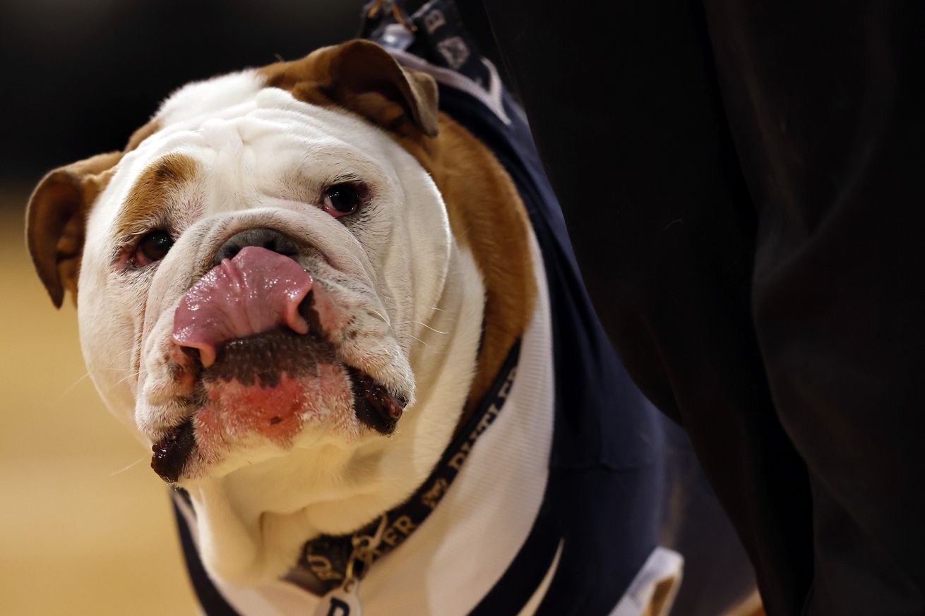 Butler Bulldogs mascot, Butler Blue IV, looks on from the court during the first half against the Xavier Musketeers during the First Round of the Big East Basketball Tournament at Madison Square Garden on March 13, 2024 in New York City.