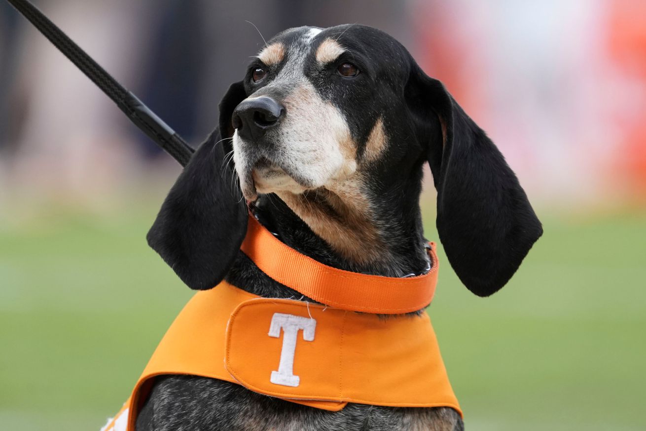 Tennessee Volunteers mascot Smokey at a game against the UTEP Miners at Neyland Stadium. 