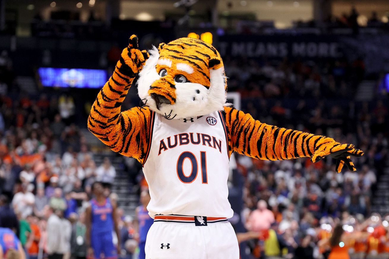 The Auburn Tigers mascot against the Florida Gators in the championship game of the SEC Basketball Tournament at Bridgestone Arena on March 17, 2024 in Nashville, Tennessee.