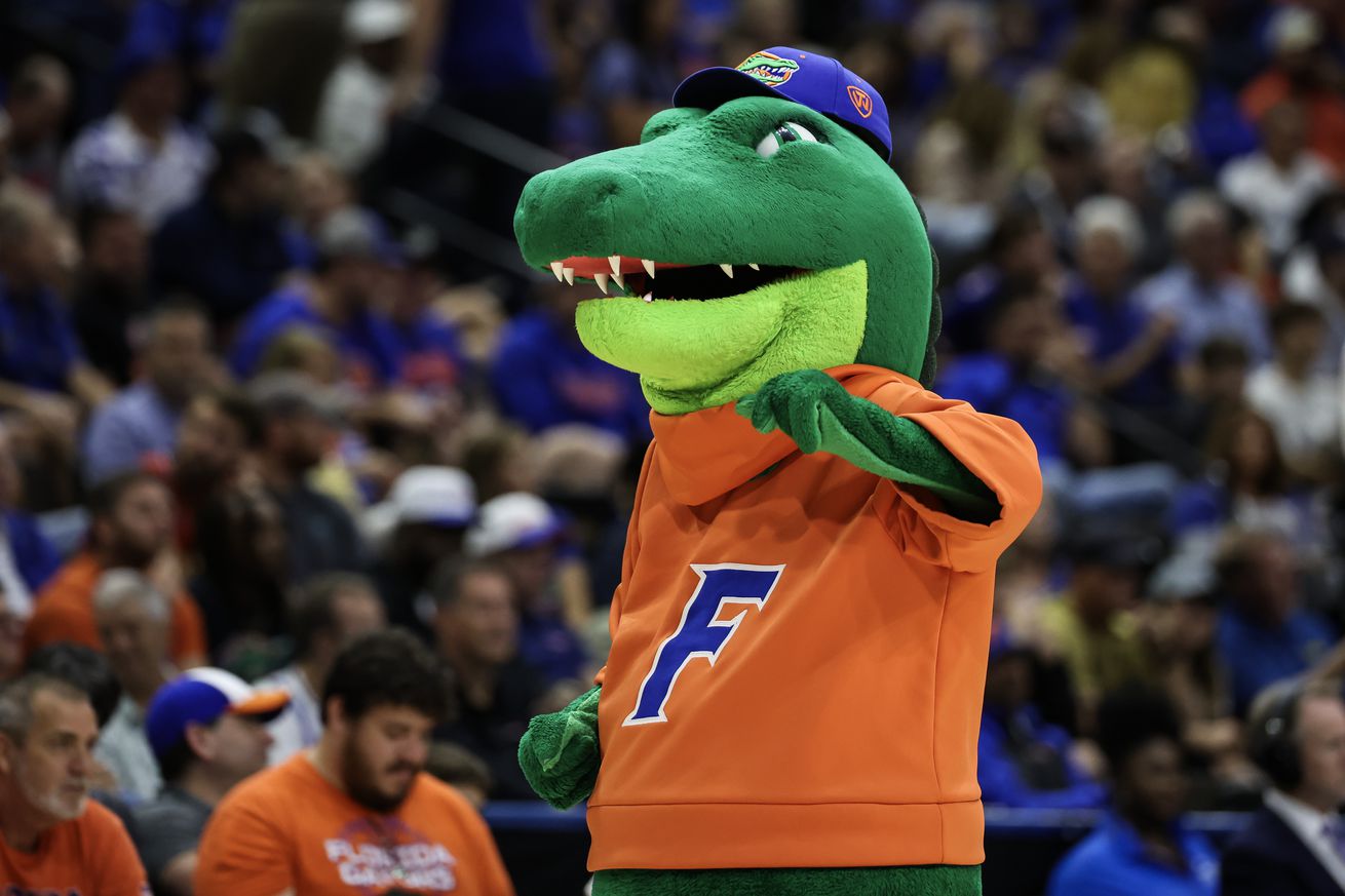 Florida Gators Mascot Albert the Alligator looks on during the first half of a game between the Florida Gators and the South Florida Bulls at VyStar Veterans Memorial Arena on November 04, 2024 in Jacksonville, Florida.