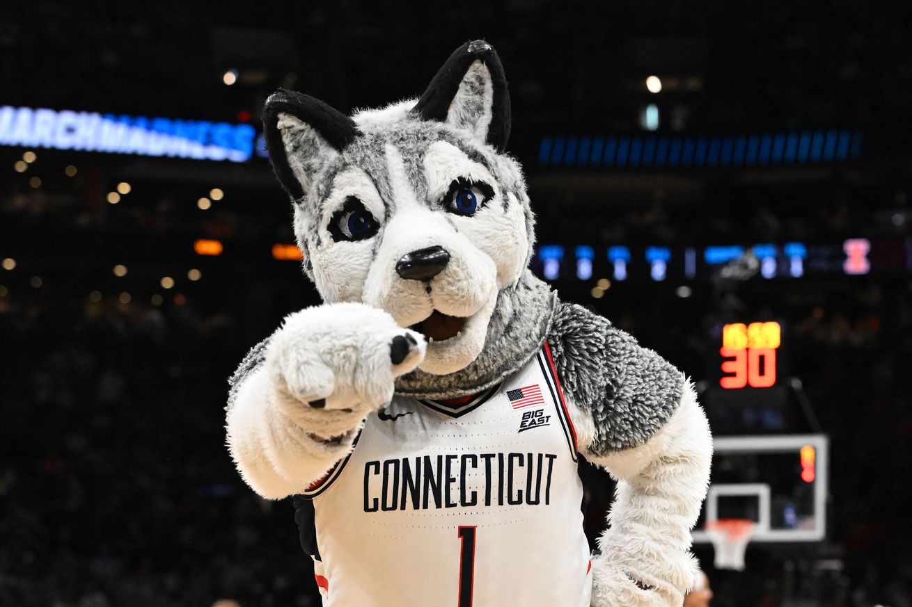 The Connecticut Huskies mascot in the finals of the East Regional of the 2024 NCAA Tournament at TD Garden.